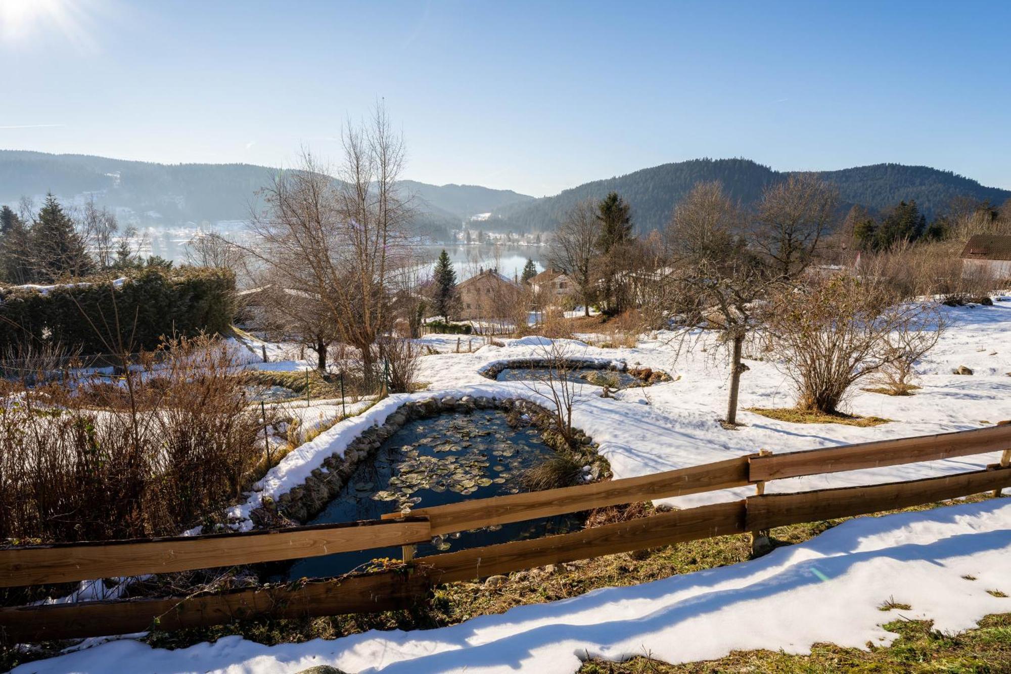 Moho Mountain Home Gérardmer Buitenkant foto